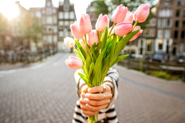Kvinne som gir en vakker bukett med rosa tulipaner som står utendørs i Amsterdam by
