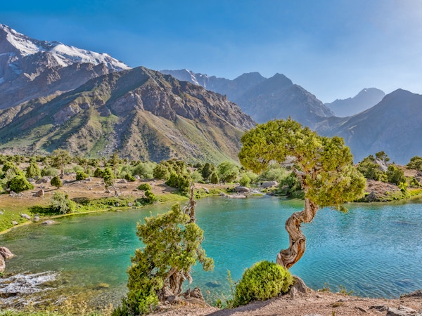 Fjellvann med turkis vann og einer i solskinn på en svaberg. Fann Mountains, Tadsjikistan, Sentral-Asia
