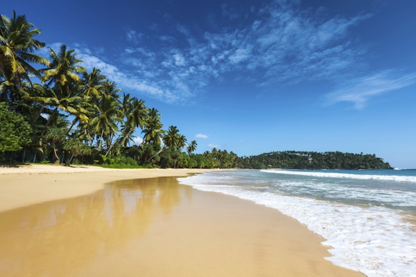 Tropisk ferieferiebakgrunn - paradis idyllisk strand. Sri Lanka