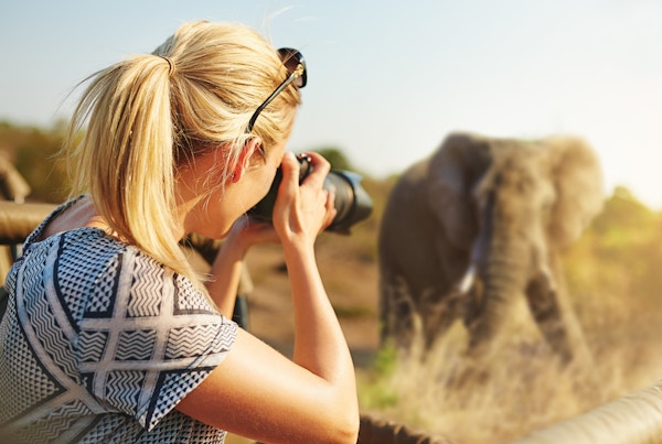 Et beskåret fotografi av en kvinnelig turist som tar bilder av elefanter mens hun er på safari