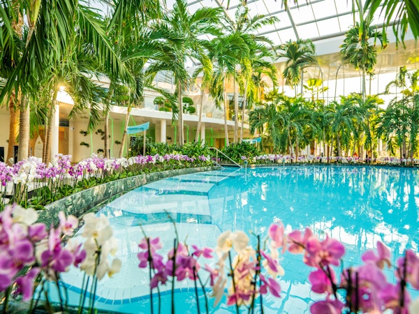Spaanlegg med basseng og palmer og blomster rundt et basseng