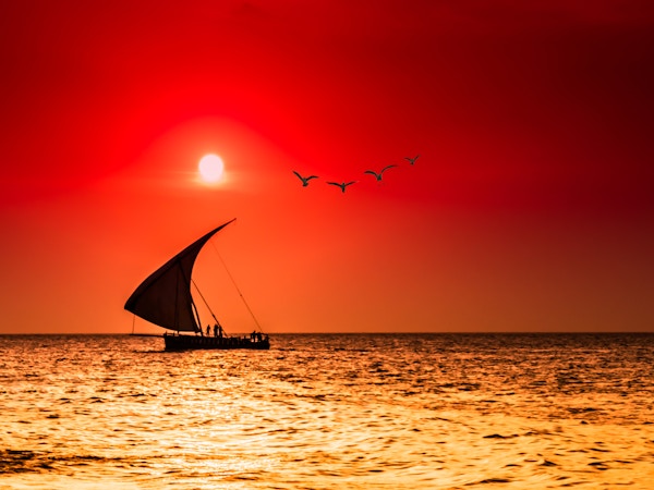 Silhuetter av en seilbåt og måker foran en vakker solnedgang
