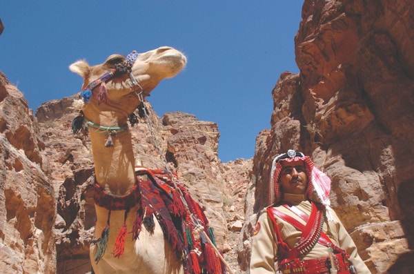 Kameler er et vanlig sy i ørkenen i jordan.