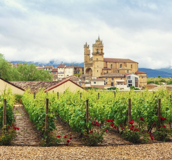 Vindistriktet Rioja med vinranker og by i bakgrunnen.