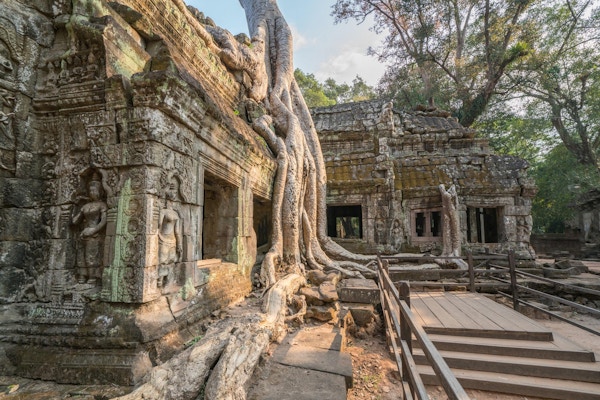 Ta Prohm Angkor Wat Kambodsja Det gamle templet til Ta Prohm i Angkor Wat, Kambodsja, der røttene til jungeltrærne flettes sammen med murverket til disse gamle strukturer som produserer surrealistisk verden.