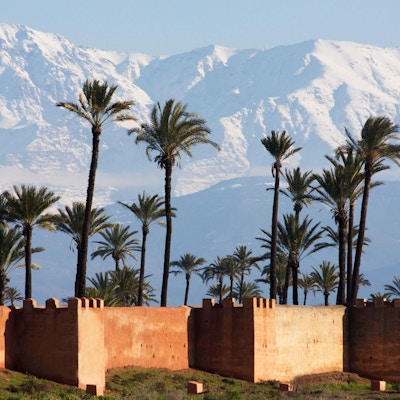 Voller i Marrakesh med Atlasfjellene i bakgrunnen.