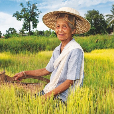 Eldre asiatisk kvinne med en vietnamesisk stråhatt.