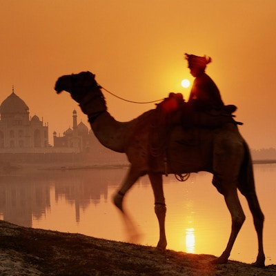 Person som rir på kamel i nærheten av Taj Mahal, Agra, India