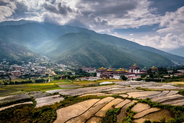 Rismarker, fjell og palasser i Bhutan.