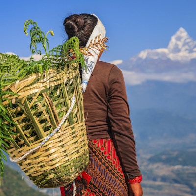 Kvinnne bærer kurv med planter på ryggen, Nepal.