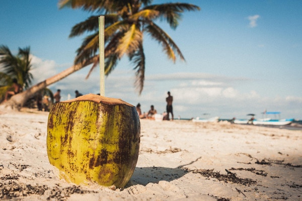 Kokosnøtt med to sugerør og en palme på stranden ved Playa Paraiso, Tulum, Quintana Roo, Mexico.