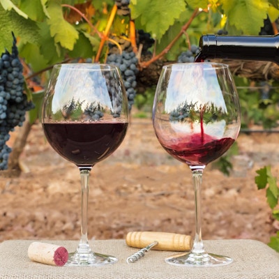 Foto av rødvin som helles i glass fra flaske foran uskarp bakgrunn på en vingård rett før høsting, med en hengende gren av druer. Ved glassene ligge en kork og vintage korketrekker