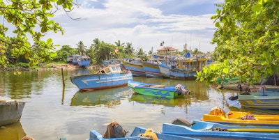 tradisjonelt malte fiskebåter i den gamle havnen i Negombo / Sri Lanka