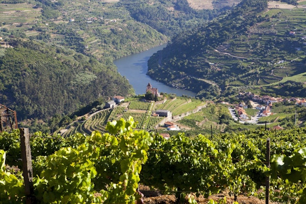 Landskap i Douro-dalen, Portugal