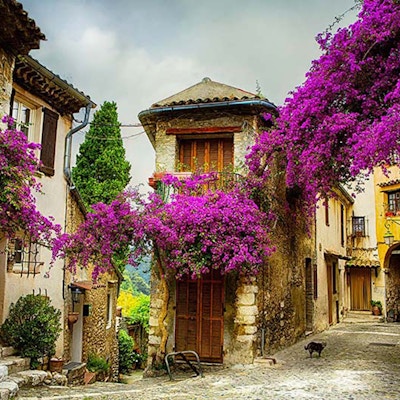 Provence annonse
