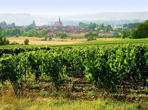 Chablis- landsby og vinåkre i Burgundy