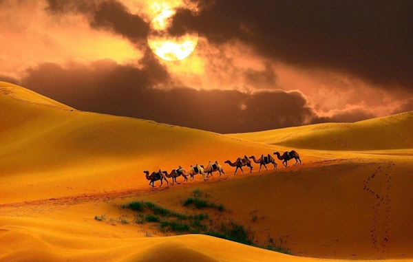 Campingvogn i ørkenen, Mongolia