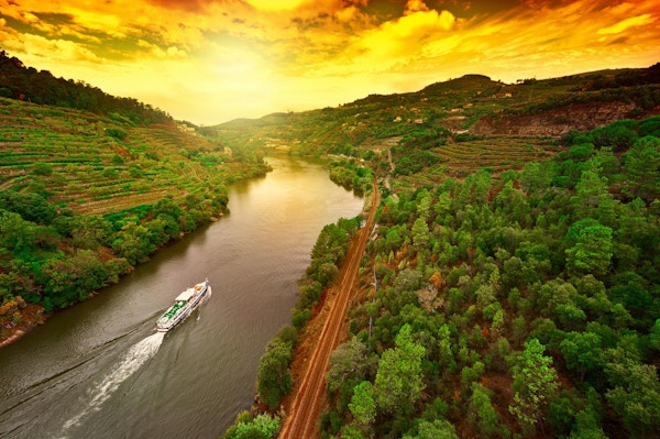 Vingårder i dalen av elven Douro, Portugal