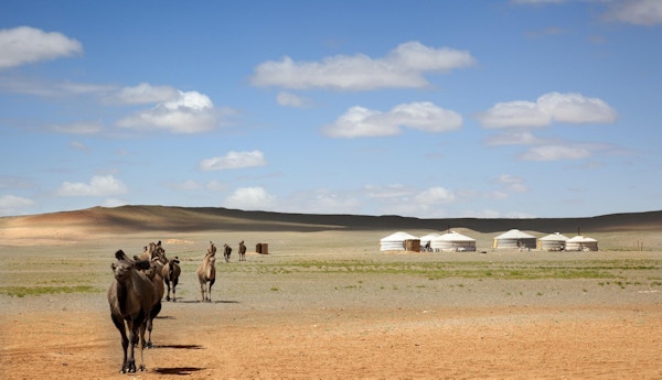 En kamel campingvogn over ørkenen og forlater Gers av bønder til det fjerne
