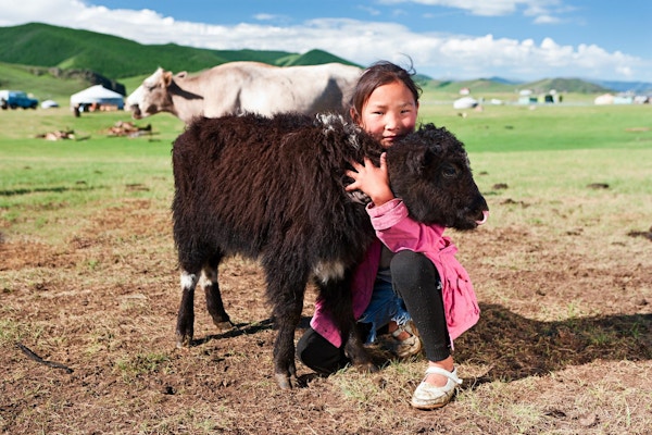 Mongolsk ung jente som leker med en yak, Mongolia.