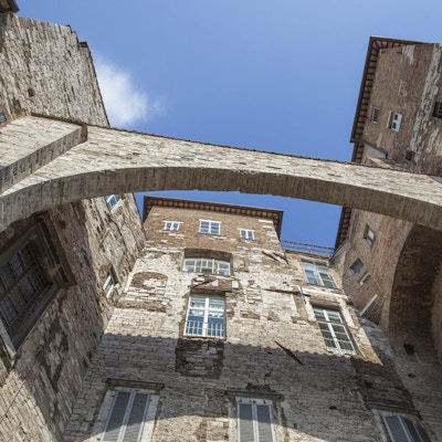 Steinbue i Perugia