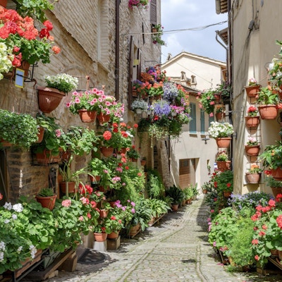 Sidegate med blomster i byen Spello i Umbria, Italia