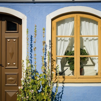 Hus med brun dør, pastellblå husfarge med gul vinduskarm og en stor plante utenfor