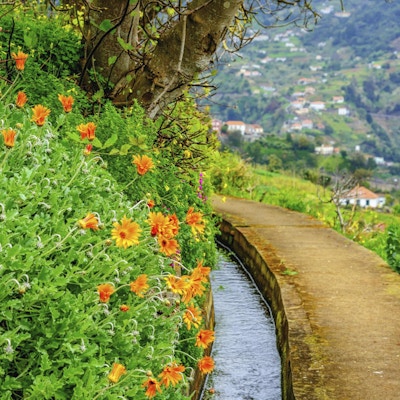 Liten elv i fargerike Madeira