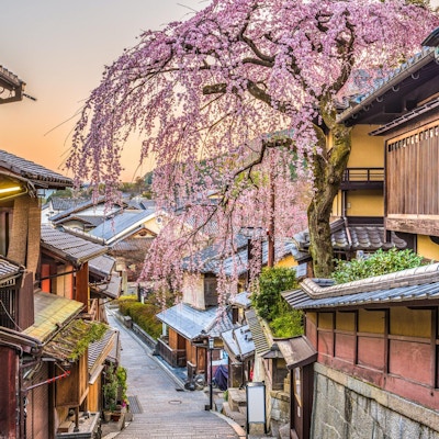 Kyoto, Japan vår ved den historiske Higashiyama-distraksjonen.