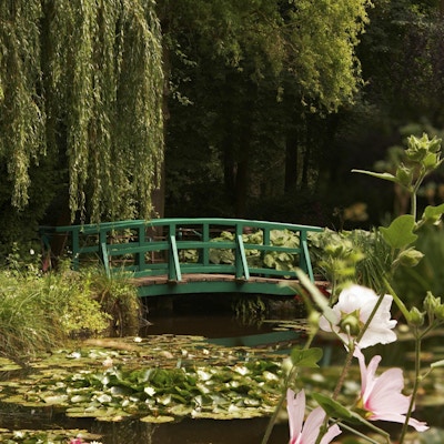 Hagen til den berømte maleren Claude Monet, hvor han malte vannliljene sine