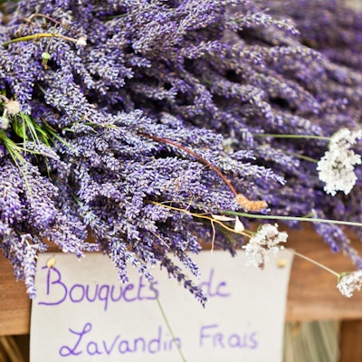 Lavendelbunker som selges i et fransk utendørsmarked. Horisontalt bilden tatt med selektiv fokus