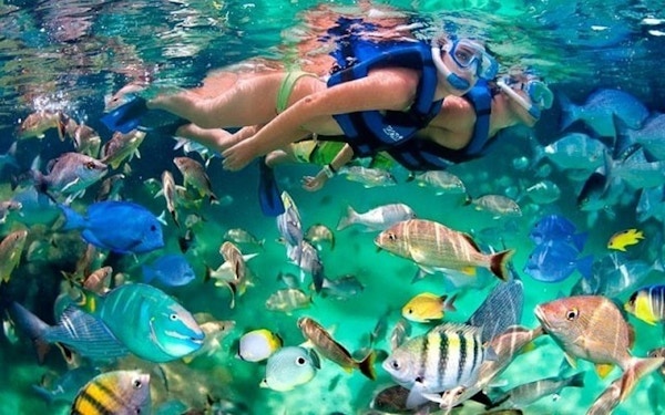 2020 mexico isla mujeres fisker snorkling under vann