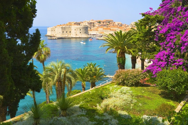 Grønne palmer og utsikt mot Dubrovnik og havet