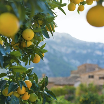 Typisk utsikt i den berømte landsbyen Fornalutx nær Soller. På Mallorca, Spania.