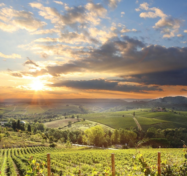 Utsikt over vinområdet Chianti.