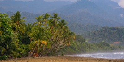 Dominical Beach