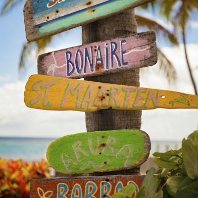 biter drivved med håndmalte navn på karibiske øyer festet til et palmetre i St.Croix, De amerikanske jomfruøyene
