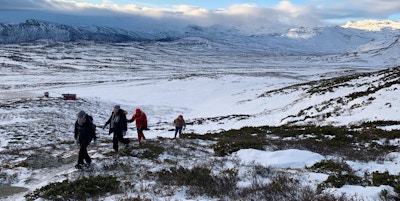 Fire personer på vei opp i fjellet med truger.