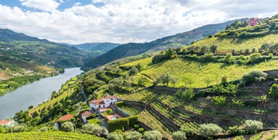Vakkert landskap rundt elven Douro i Portugal - Vingårder