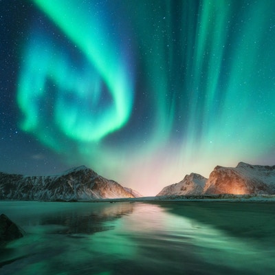 Aurora borealis i Lofoten, Norge. Aurora. Grønne nordlys. Stjernehimmel med polare lys. Natt vinterlandskap med aurora, hav med himmelrefleksjon, steiner, strand og snødekte fjell