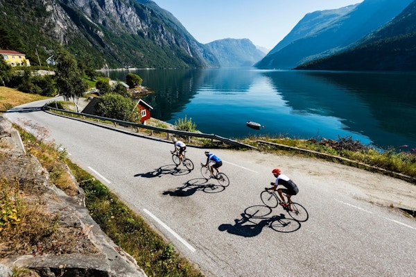 Fjord,vei,sykkel