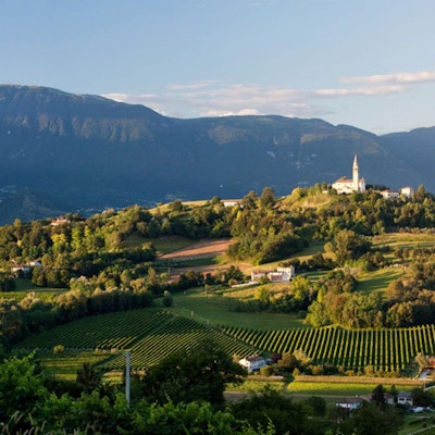 Grønne vinmarker med idylliske landsbyer