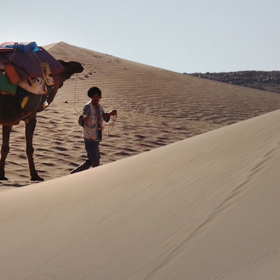 Marokko orken kamelvandringny