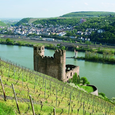 Landskap langs Rhinen