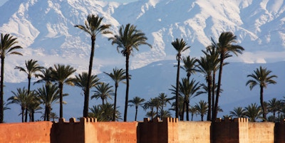 Voller i Marrakesh med Atlasfjellene i bakgrunnen.