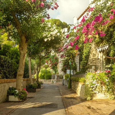 Vakker smug full av trær og blomster på Capri Island, Italia