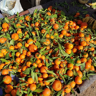Marokko orken appelsiner