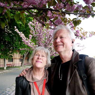 Par står under rosa, blomstrende trær