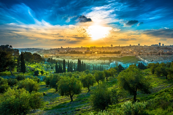 Utsikt over Gamlebyen Jerusalem fra Oljeberget med oliventrær i forgrunnen