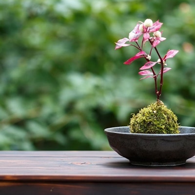 Enkel, rosa plante i en skål på et bord med grønn og frodig bakgrunn.